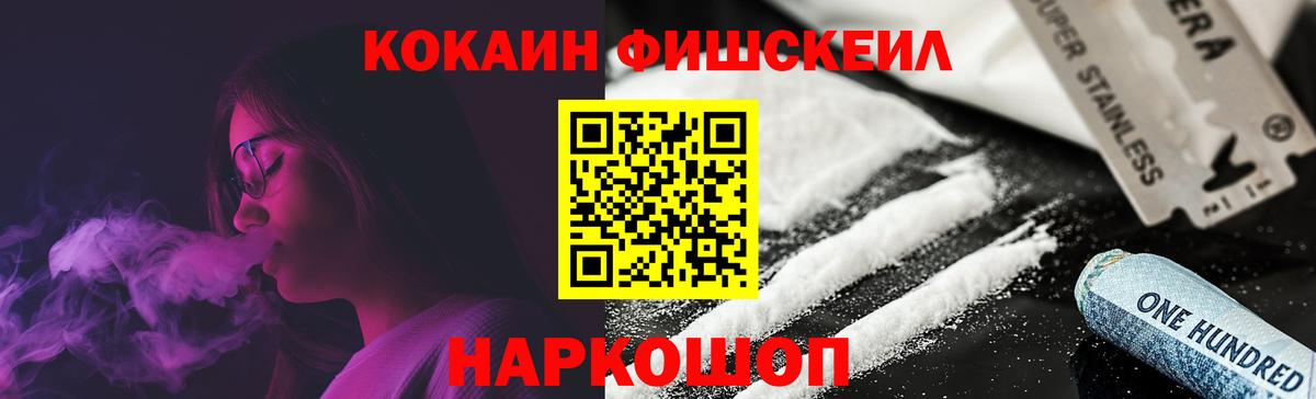 сколько стоит  Ирбит  КОКАИН  Cocaine 97%  COCAIN FishScale 