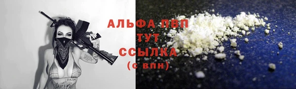 стаф Болотное