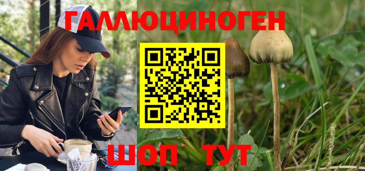 Псилоцибиновые грибы ЛСД  Вход с VPN  Псилоцибиновые грибы прущие грибы  Ирбит 